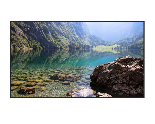 HISENSE 55 inča 55WH80F 4K UHD 4000 nita Window Facing - High Brightness Display (DSS00269)
